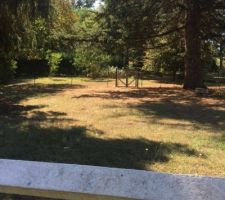 Terrain au début