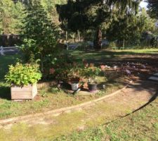 Terrain au d&eacute;but