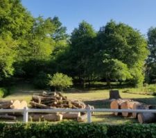 &Eacute;lagage des 2 arbres de 40 m&egrave;tres et 25 m&egrave;tres