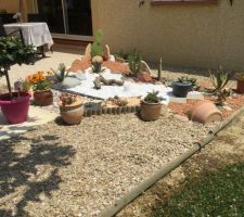 Travaux de la rocaille de cactus et plantes grasses terminés