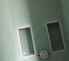 Niches de la douche RDC