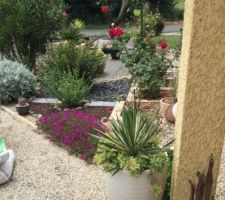 D&eacute;but de la r&eacute;organisation du jardin c&ocirc;t&eacute; entr&eacute;e