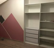 Placard en cours il manque la porte