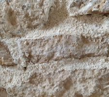 Rejointoyage - 3 - &eacute;talement