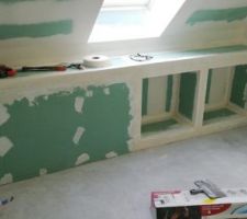 Creation desniches dans la salle de bain