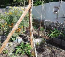 Permaculture