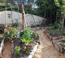 Permaculture