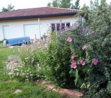 Differentes vues sur le jardin