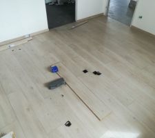 Parquet chambre ami rdc