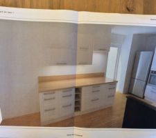 Proposition cuisiniste indépendant, réutilisation de mes meubles ikea et meubles haut pour cet îlot.