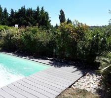 La piscine cachée grâce à la haie d'artistes.