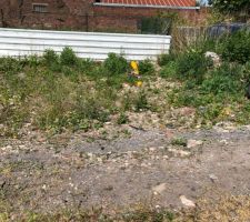 Photo concernant les d&eacute;bris laiss&eacute; sur le terrain