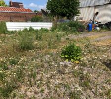 Photo concernant les d&eacute;bris laiss&eacute; sur le terrain