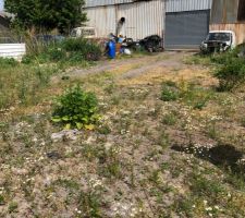 Photo concernant les d&eacute;bris laiss&eacute; sur le terrain