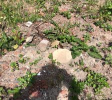 Photo concernant les d&eacute;bris laiss&eacute; sur le terrain