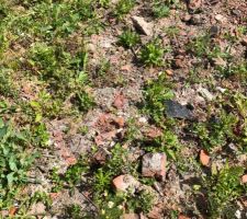 Photo concernant les d&eacute;bris laiss&eacute; sur le terrain