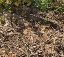 Photo concernant les d&eacute;bris laiss&eacute; sur le terrain