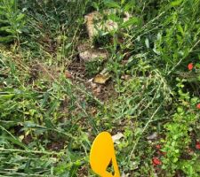 Photo concernant les d&eacute;bris laiss&eacute; sur le terrain