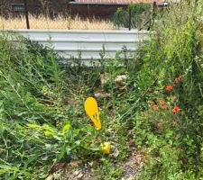 Photo concernant les d&eacute;bris laiss&eacute; sur le terrain