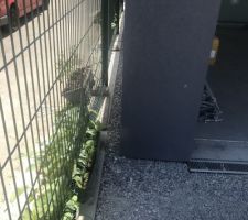 Finition du terrassier 
Galet roulés entre la clôture du voisin et notre garage