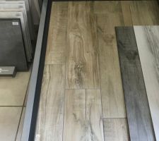 Carrelage pièces de vie Porcelanosa grey