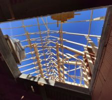 Un peu de bois dans ce monde de pierre et béton...