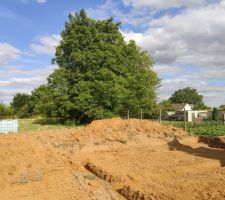 Terrassement fait le 03/07/2020 + abattage et dessouchage des arbres