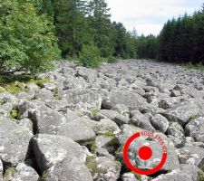 "Un âne ne butte jamais 2 fois sur la même pierre.
- Oui mais c'est que ça fait beaucoup de pierres quand même !"