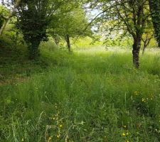Une partie du terrain avec sa colline &agrave; gauche.