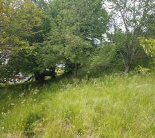 Une autre partie du terrain avec la colline cette fois &agrave; droite au fond.