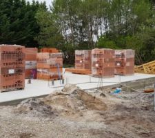 Livraison des briques apr&egrave;s 5 semaines de s&eacute;chage....