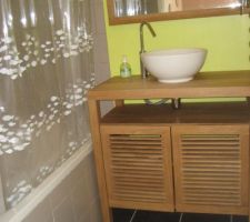 Salle de bain actuelle. je souhaite enlever le meuble de salle de bain actuel et placer le lave lige sur la droite de la photo.