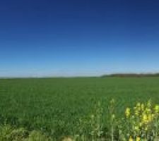 Vue de notre terrain en panorama