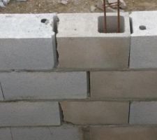 Vide-sanitaire - il y a comme des trous...