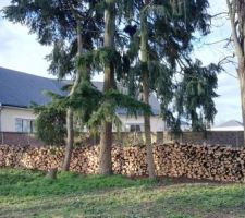 La réserve de bois pour l'hiver ^^