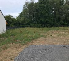 Avant le d&eacute;but du nettoyage