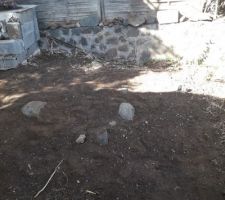 Futur emplacement potager