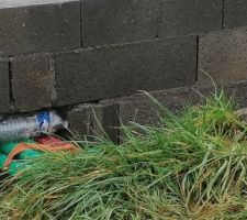 Tiens une bouteille s'invite