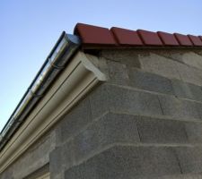 Constatation troue au niveau de la charpente.