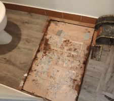 Vide sanitaire rouillé