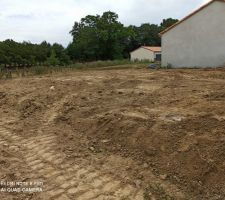 Terrain arrière