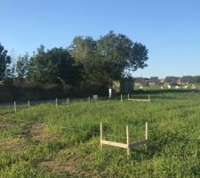 Implantation des chaises