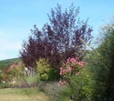 Tour du jardin