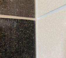 Salle de bain parentale
Devinette : o&ugrave; est le joint gris et o&ugrave; est le joint blanc ?
O&ugrave; est-ce le m&ecirc;me joint (gris?) partout ?