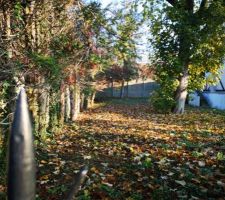 Notre terrain tel que nous l?avions visit&eacute;, encore habill&eacute; de sa verdure et arbres...