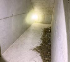 Préparation de la cave à vin