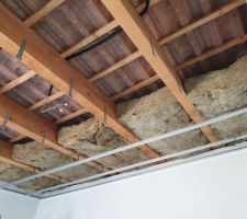 R&eacute;novation extension