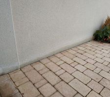 Humidité en bas de mur. Pas de géomembrane étanche sur cette façade, pavage sur lit de sable.