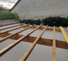 Abris de jardin, vue de dessus, tuiles retirées, vue en perspective, remplacement des panes pourries ou endommagées