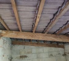 Abris de jardin, vue en profondeur, avec tuiles